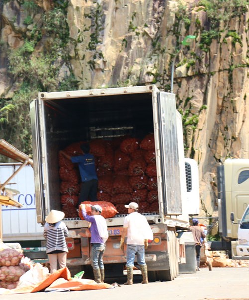 Khoai t&acirc;y Trung Quốc tr&agrave;n ngập chợ N&ocirc;ng sản Đ&agrave; Lạt 2