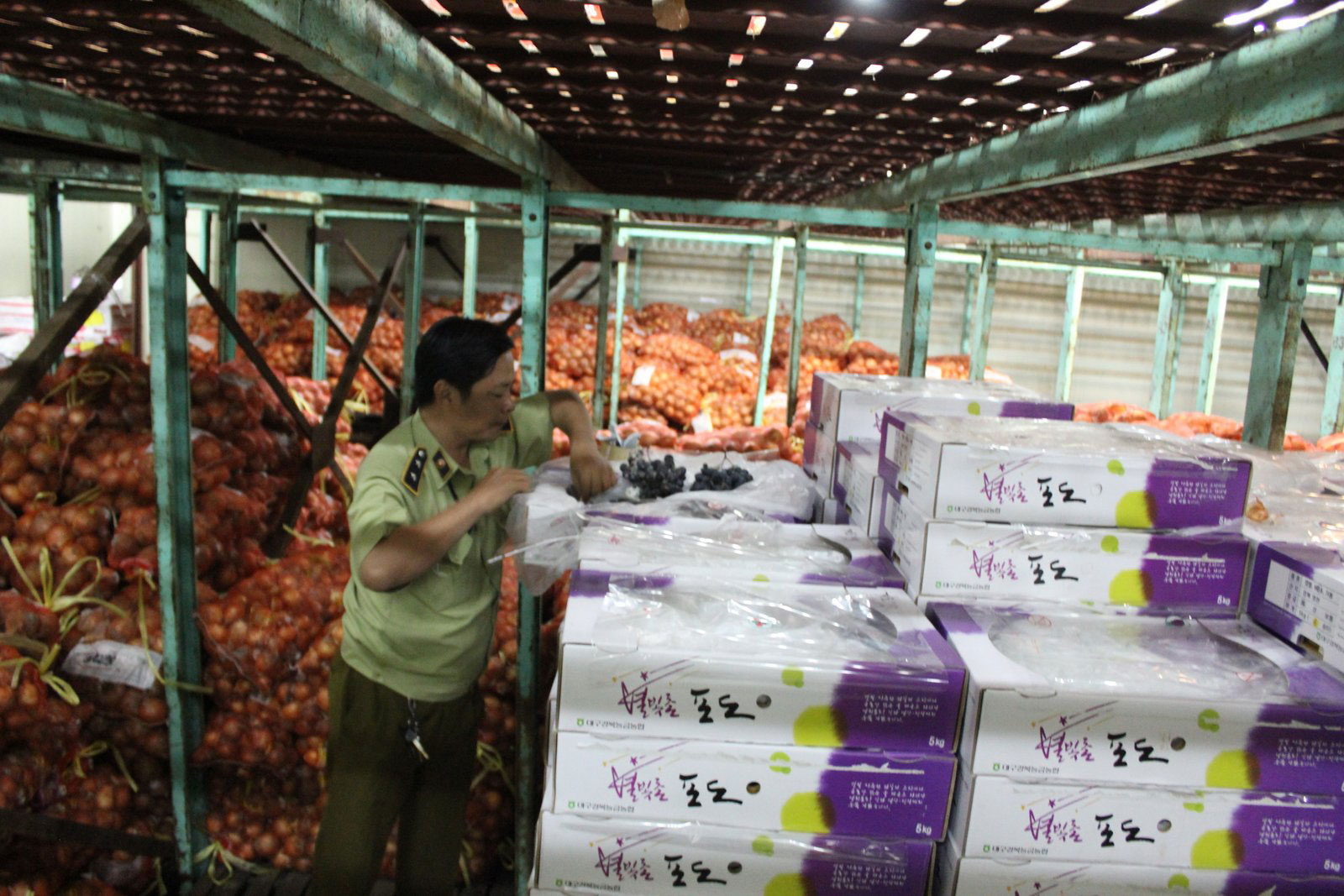 Lực lượng chức năng kiểm tra l&ocirc; củ, quả k&eacute;m chất lượng ở chợ Tam B&igrave;nh, quận Thủ Đức, TP HCM Ảnh: NGỌC &Aacute;NH