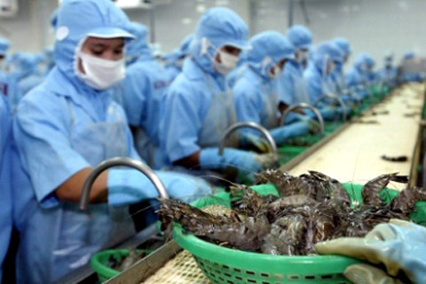Thuế chống bán phá giá tôm giảm mạnh