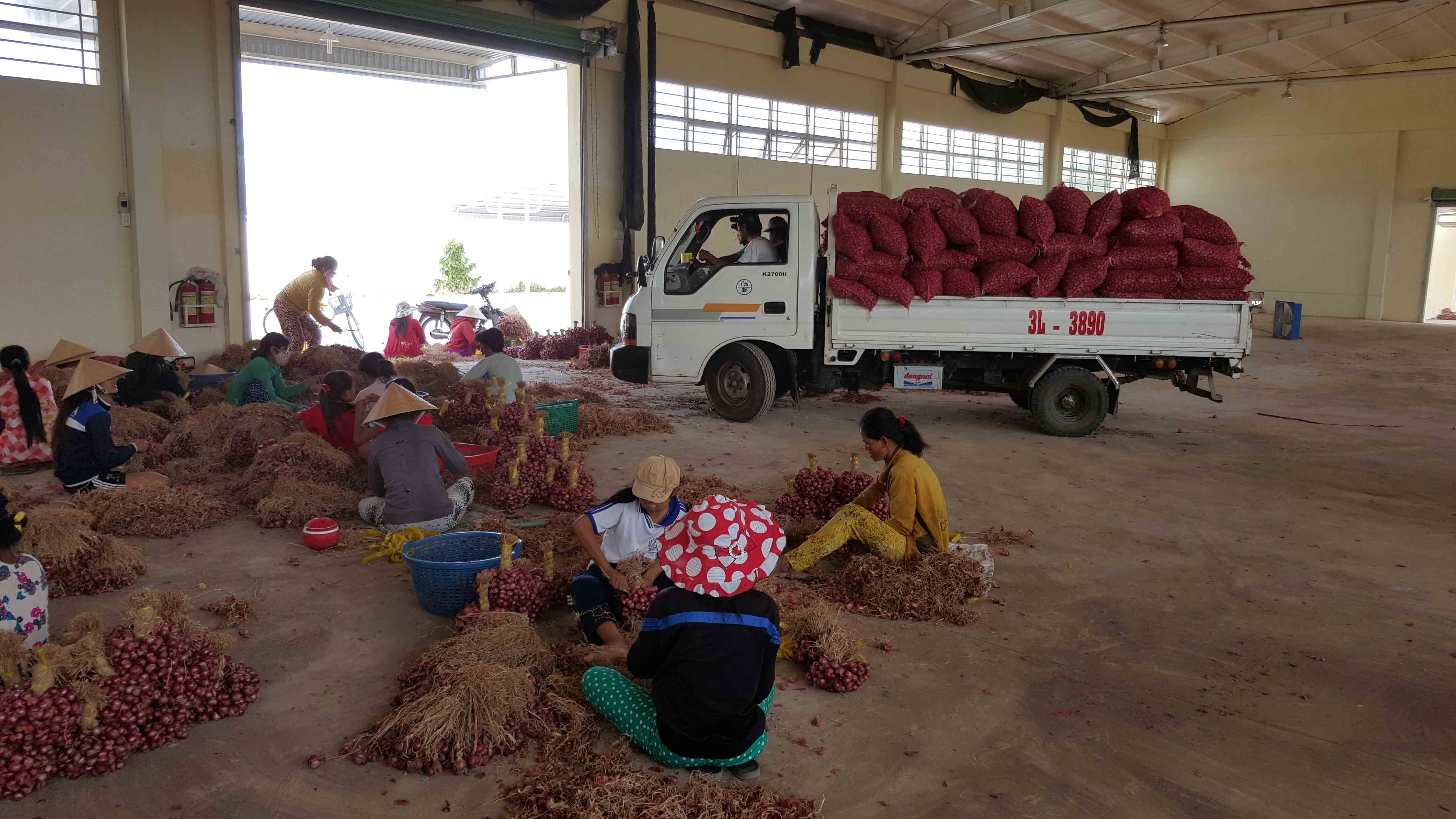 Hiện tại, h&agrave;nh t&iacute;m c&ograve;n tồn đọng trong d&acirc;n chỉ khoảng 3.000 tấn