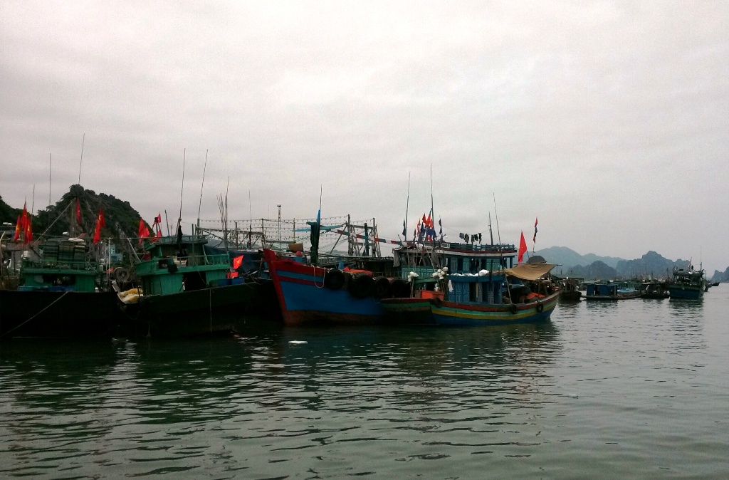 t&agrave;u thuyền neo đậu tại V&acirc;n Đồn (Quảng Ninh)