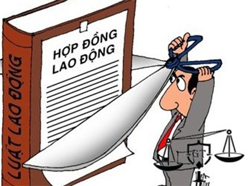 Hợp đồng chỉ có thời hạn 24 tháng