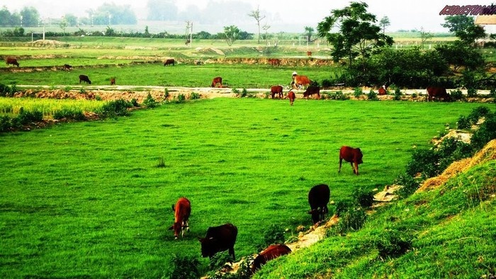 Chi&ecirc;m ngưỡng một g&oacute;c nh&igrave;n đẹp tr&ecirc;n h&agrave;nh tr&igrave;nh chinh phục