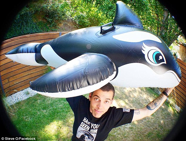 Steve-O v&agrave; bong b&oacute;ng c&aacute; voi s&aacute;t thủ trước khi thực hiện cuộc biểu t&igrave;nh kỳ lạ