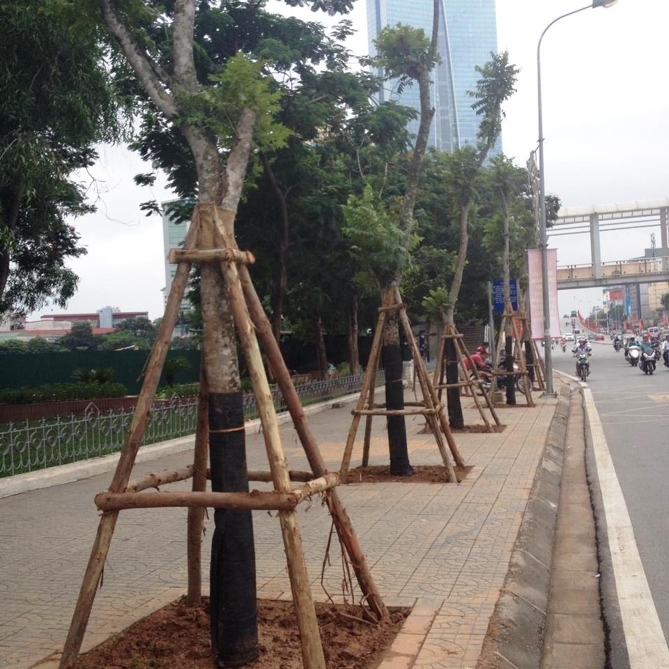 Những c&acirc;y l&aacute;t hoa mới trồng ngay trước c&ocirc;̉ng Đài truy&ecirc;̀n hình Vi&ecirc;̣t Nam