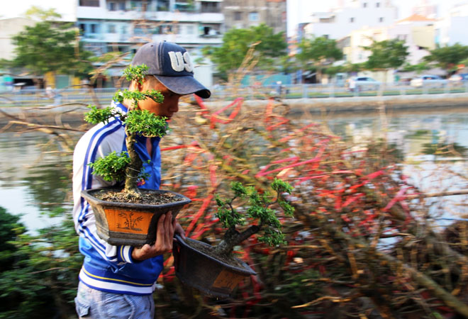 C&aacute;c loại hoa, c&acirc;y cảnh tại đ&acirc;y c&oacute; gi&aacute; b&aacute;n vừa phải. Trong ảnh, những chậu bonsai c&oacute; gi&aacute; chưa đến 100.000 đồng