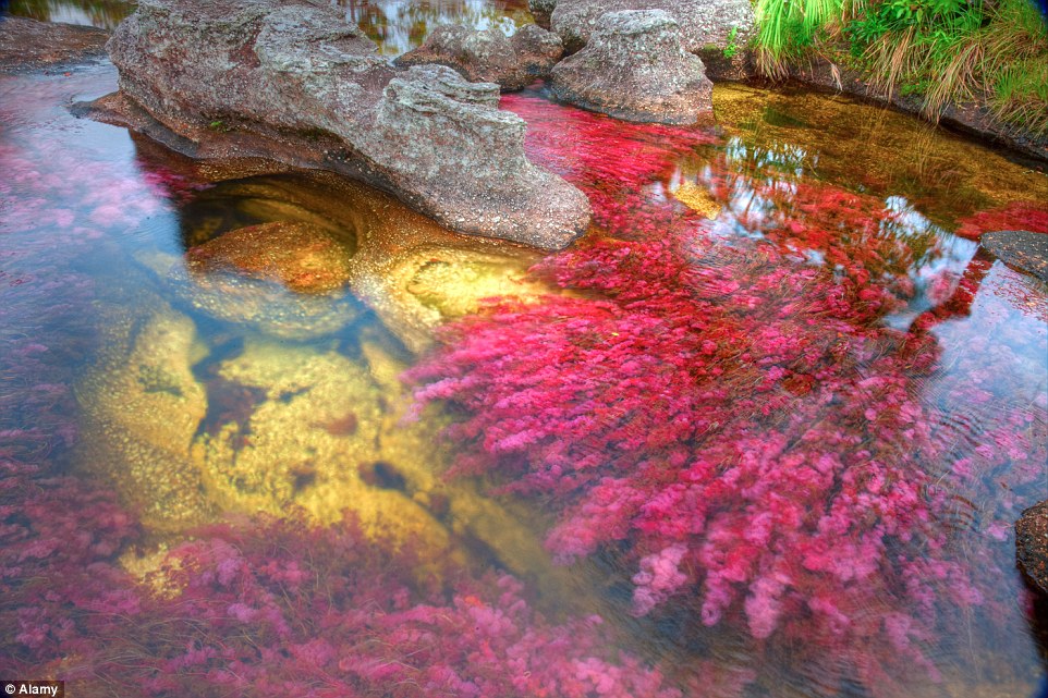 Ảnh: Alamy