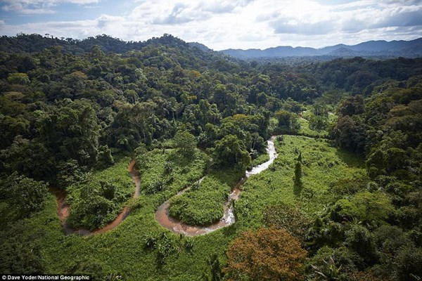 Ảnh chụp từ tr&ecirc;n kh&ocirc;ng v&ugrave;ng đất rừng nơi được cho l&agrave; Bạch Th&agrave;nh khi xưa. Ảnh: National Geographic