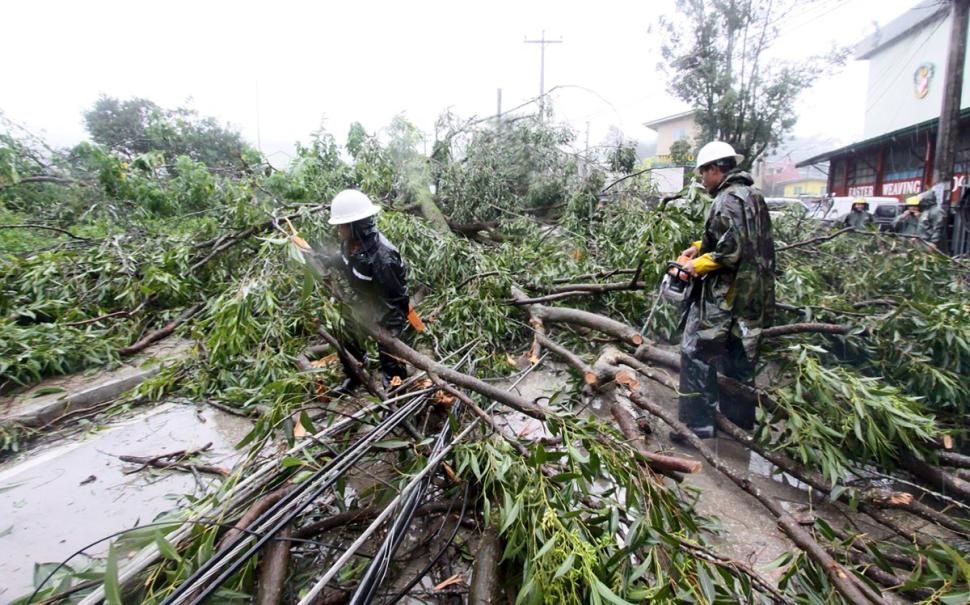 C&acirc;y đổ ở TP Baguio. Ảnh: Reuters