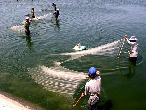 Bỏ quên kinh tế biển