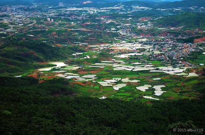 Đứng tr&ecirc;n đỉnh Bidoup, &ocirc;m trọn th&agrave;nh phố v&agrave;o l&ograve;ng