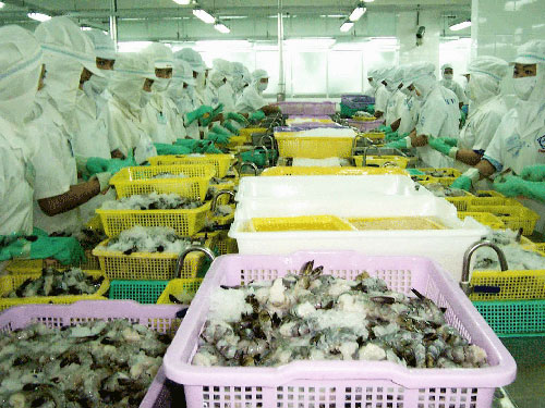 Hàn Quốc sẽ miễn thuế cho 15.000 tấn tôm Việt Nam
