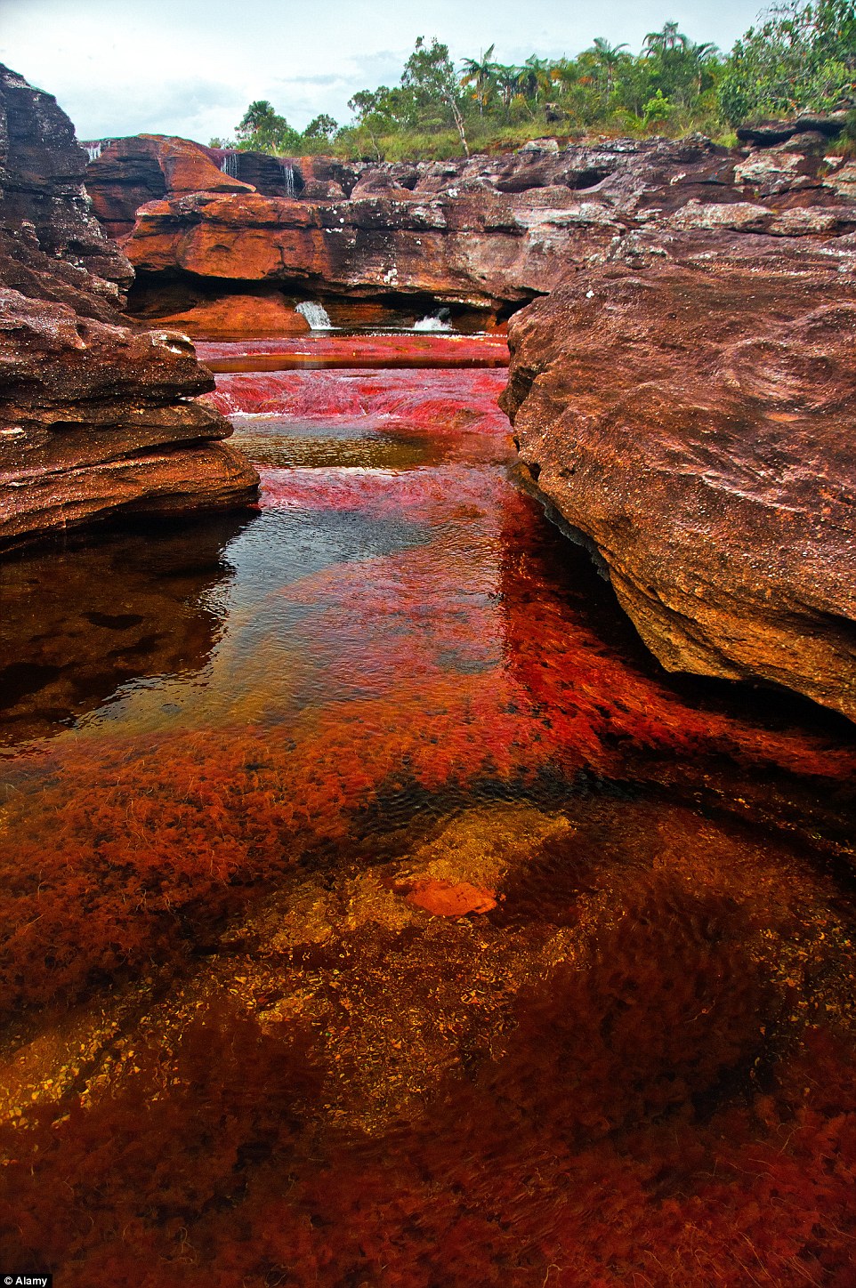Ảnh: Alamy