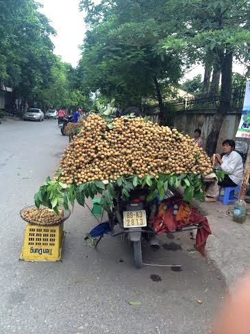 Nhãn lồng Hưng Yên, nhãn Trung Quốc, nhãn Sơn La, nhãn Thái, quảng cáo, gán mác, hàng rong, đặc sản, nhãn-lồng-Hưng-Yên, nhãn-Trung-Quốc, nhãn-Sơn-La, nhãn-Thái, quảng-cáo, gán-mác, hàng-rong, đặc-sản