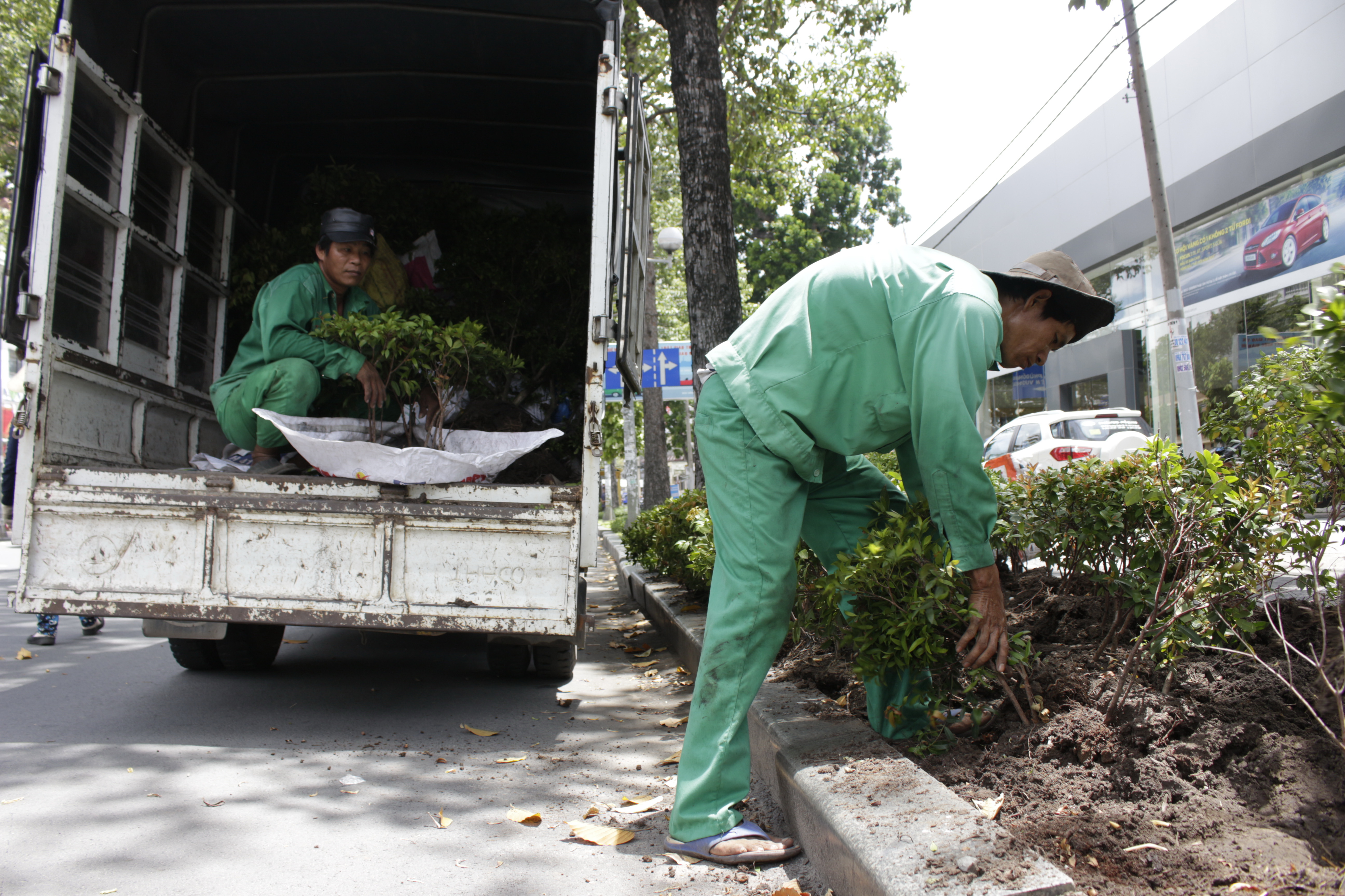 Nh&acirc;n vi&ecirc;n của C&ocirc;ng ty C&ocirc;ng vi&ecirc;n C&acirc;y xanh đang tiến h&agrave;nh di dời những c&acirc;y xanh nhỏ thuộc giao lộ Trần Hưng Đạo- Phạm Ngũ L&atilde;o&nbsp;