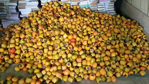 Hồng Đà Lạt rớt giá do tin đồn