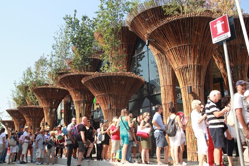 Tổng đại diện VN tại Expo Milan: Nếu dở sao Thủ tướng Ý khen ngôi nhà VN trên Facebook - ảnh 5