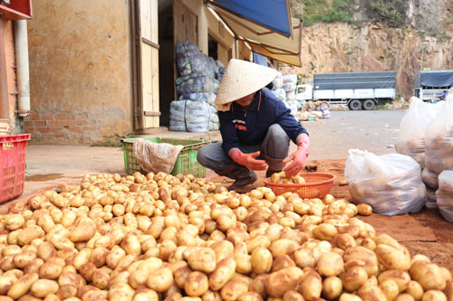 Khó cấm cửa khoai tây Trung Quốc