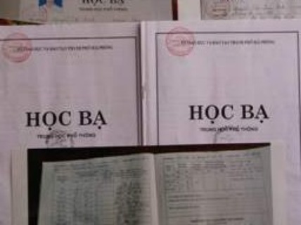 Xem xét hạ mức kỷ luật cô giáo làm giả học bạ