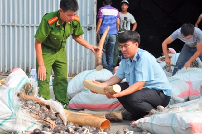 Ph&aacute;t hi&ecirc;n l&ocirc; ng&agrave; voi nhập lậu