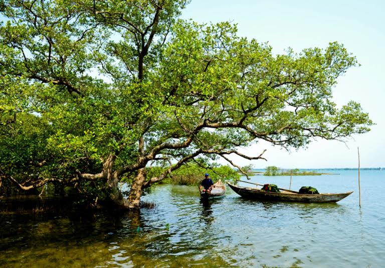 Người dân Tam Hải sống chủ yếu bằng nghề giăng câu, thả lưới