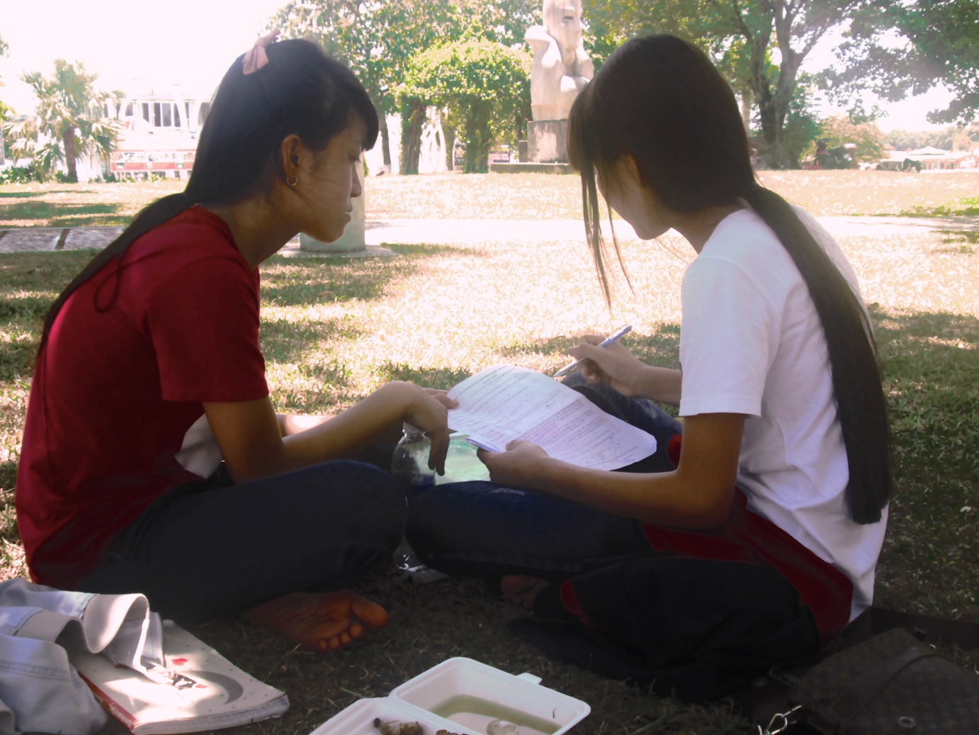 Tranh thủ học bài tại công viên