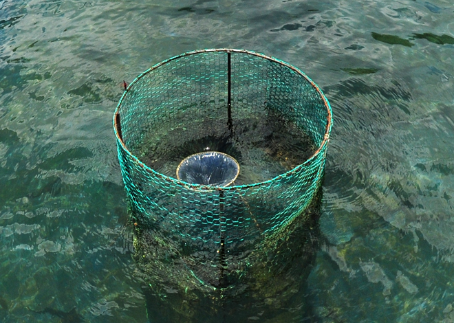 Hệ thống tuần ho&agrave;n nước suối tự động trong hồ nu&ocirc;i c&aacute; tầm.
Theo &ocirc;ng Q&uacute;y, nhiệt độ n&oacute;ng hoặc lạnh qu&aacute; đều khiến cho c&aacute; tầm chậm lớn, dễ sinh dịch bệnh. Nhiệt độ nước suối đầu nguồn x&atilde; Sơn Bua (huyện v&ugrave;ng cao Sơn T&acirc;y) lu&ocirc;n ổn định, m&ugrave;a đ&ocirc;ng thấp nhất chỉ 16 độ C, m&ugrave;a h&egrave; cao nhất cũng chỉ 25 độ, l&agrave; điều kiện l&yacute; tưởng để c&aacute; tầm lớn nhanh.