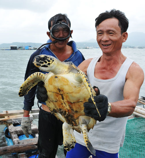 Đi thăm bè giữa vịnh Xuân Đài