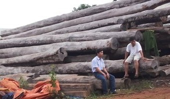 Bộ Công an “đánh úp” các xưởng gỗ khủng ở Gia Lai