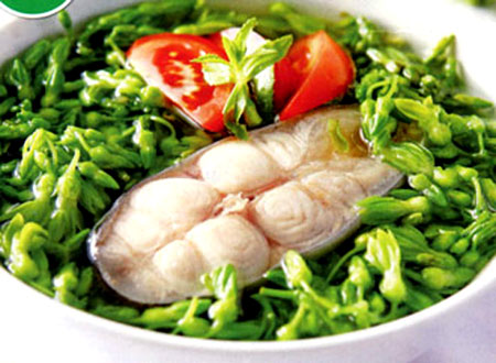 Hoa thiên lý rất mát và bổ, trừ được giun kim, giải nhiệt, an thần