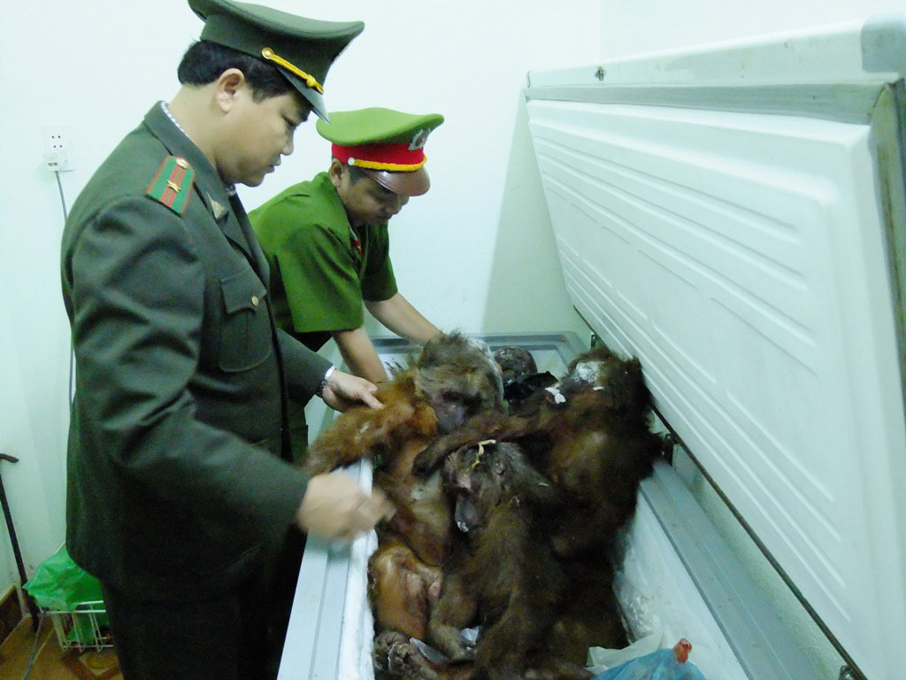 Tang vật trong một vụ buôn bán động vật hoang dã trái phép được cơ quan chức năng của TP Đà Nẵng phát hiện Ảnh: QUANG VINH
