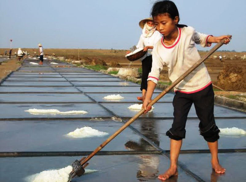 Nhân công tại các cánh đồng muối ở Thanh Hóa đa số là người già và trẻ em Ảnh: TUẤN MINH