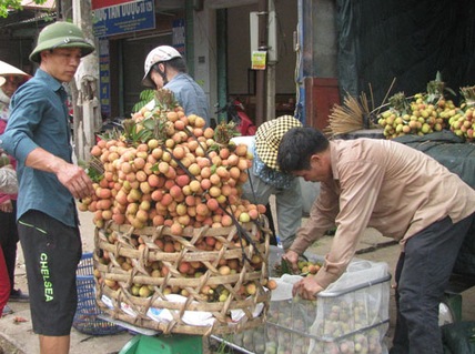 Mỹ và Úc mở cửa, trái vải vẫn trông chờ thị trường nội địa, Trung Quốc