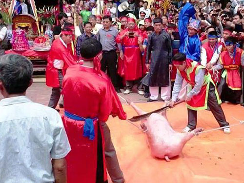 Bạo lực ở lễ hội: Do trót phục dựng... (!)