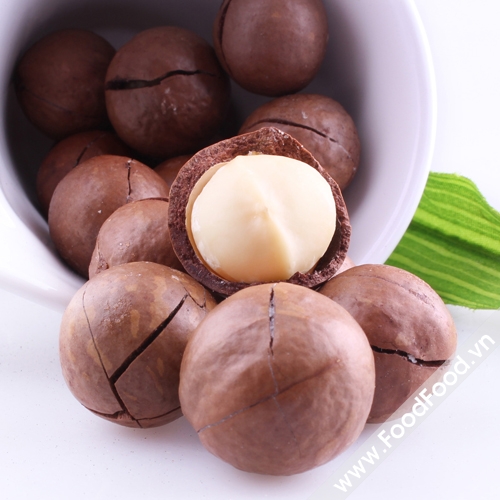 Đừng dùng nông dân để khảo nghiệm cây mắc ca