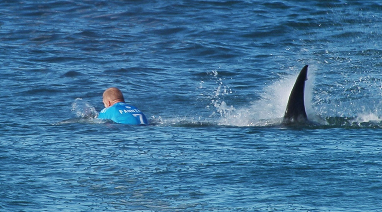 Khoảnh khắc Mick Fanning bị cá mập tấn công. Ảnh: Indian Express