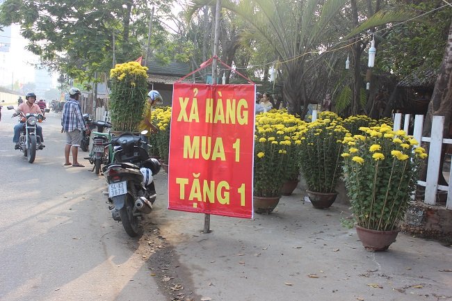 Để thu h&uacute;t người mua nhiều chủ b&aacute;n hoa đ&atilde; treo bảng giảm gi&aacute; c&ograve;n tặng th&ecirc;m khi mua