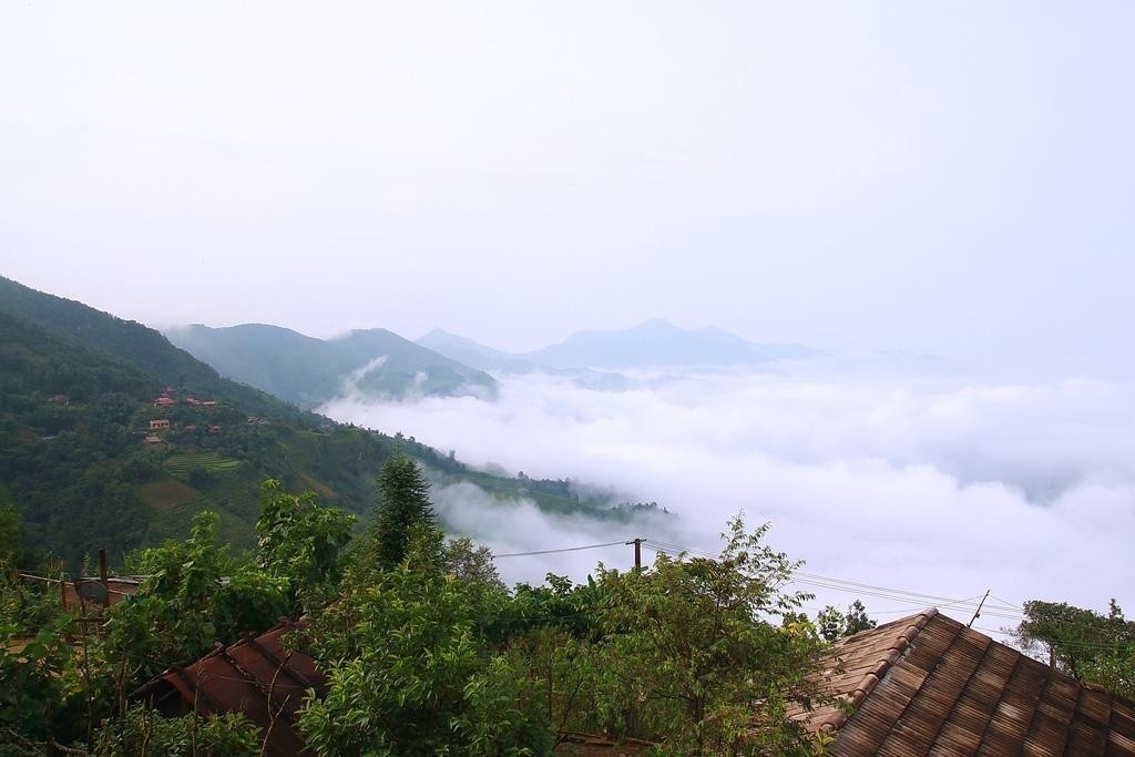 Đều được phủ l&ecirc;n một lớp m&acirc;y mờ trắng buốt 