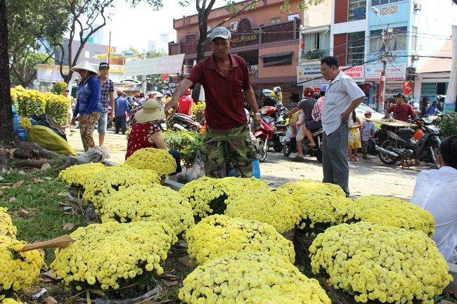Lấy tại nh&agrave; vườn 70 ng&agrave;n/cặp, nhưng trưa nay &ocirc;ng Ph&uacute;c (người chỉ tay), ở Củ Chi b&aacute;n gi&aacute; 10 ng&agrave;n/giỏ vẫn kh&ocirc;ng thể b&aacute;n hết hoa