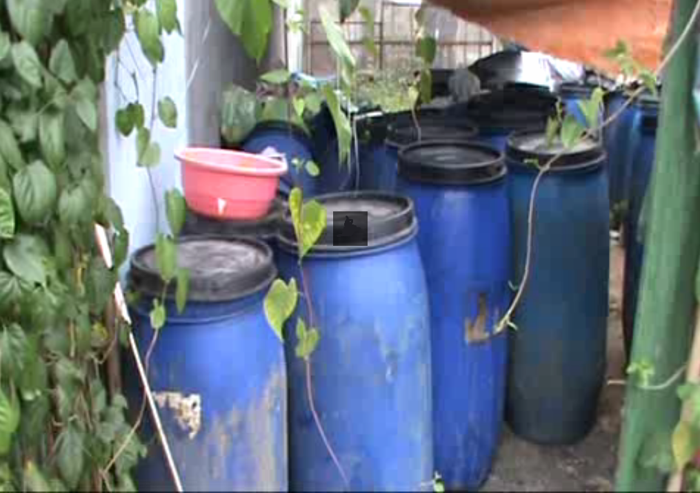 thùng nhựa chứa dung dịch ngâm hơn 3 tấn măng