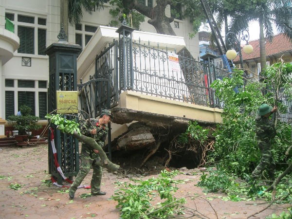 Tại Viện Kiểm nghiệm thuốc Trung ương số 48 Hai B&agrave; Trưng - H&agrave; Nội, một c&acirc;y x&agrave; cừ lớn đ&atilde; bị bật gốc bẩy đổ căn nh&agrave; bảo vệ ngay trước cổng ra v&agrave;o. Bảo v&ecirc;̣ may mắn thoát ch&ecirc;́t