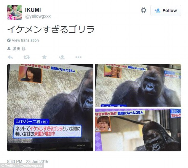 Chủ khỉ nổi như cồn tr&ecirc;n mạng x&atilde; hội. Ảnh: Twitter