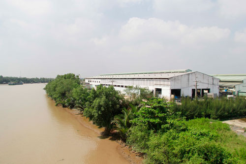 Không để Hào Dương lờn luật