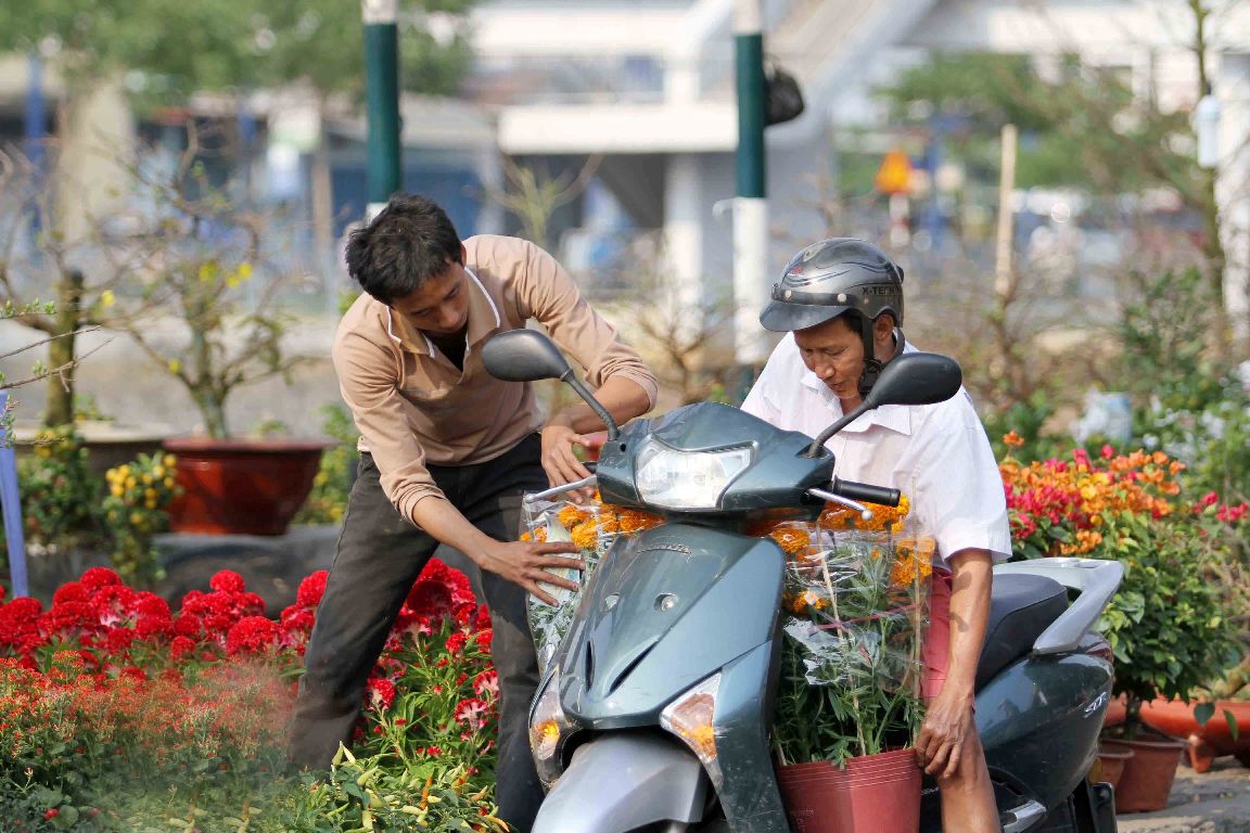 hưng kh&aacute;ch h&agrave;ng c&oacute; thể gh&eacute; mua những chậu c&uacute;c vạn thọ nhỏ với gi&aacute; chỉ v&agrave;i chục ng&agrave;n đồng