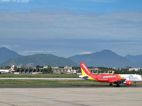 Hàng không khổ vì... chim