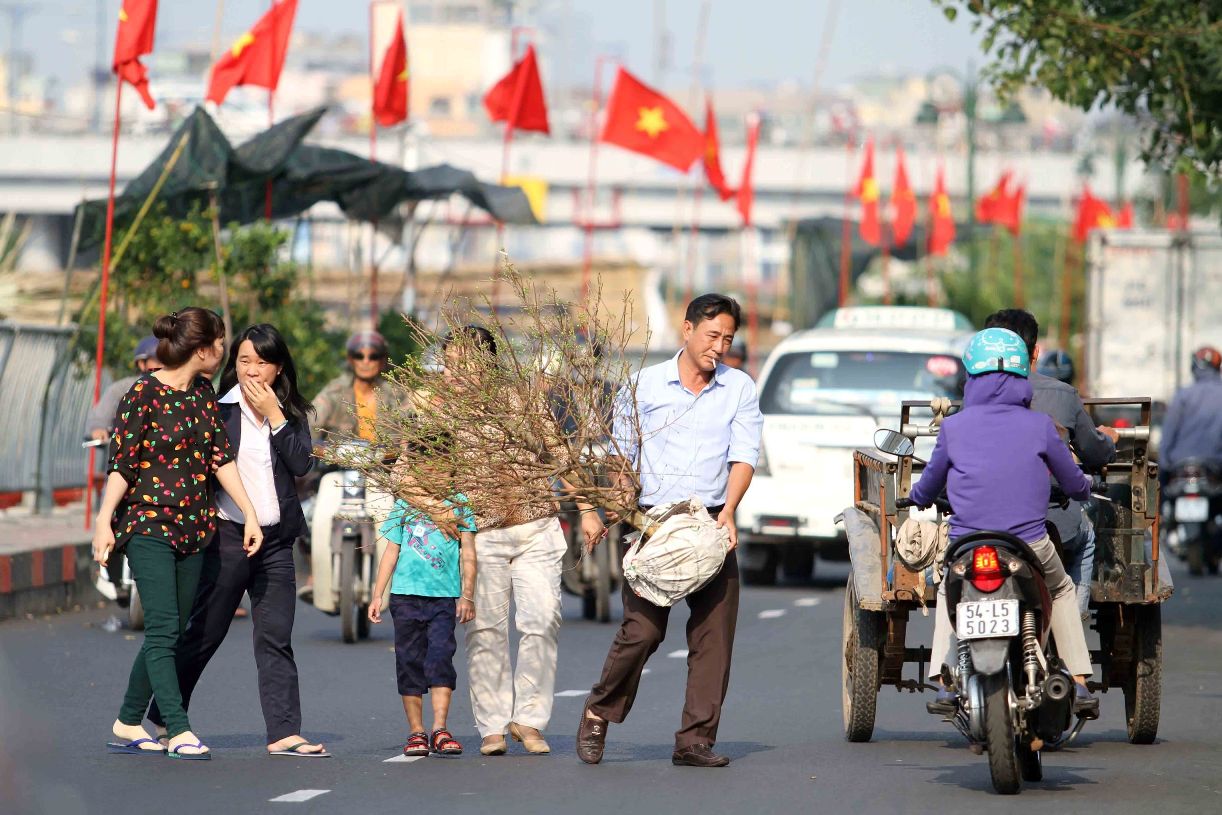 Những chậu mai lớn gi&aacute; v&agrave;i triệu đồng. Hoa mai từ l&acirc;u đ&atilde; kh&ocirc;ng thể thiếu trong dịp tết của người miền Nam. Nhiều người c&oacute; thể chọn c&aacute;c b&igrave;nh hoa nhỏ để tiết kiệm