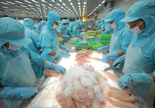 Doanh nghiệp cần học kinh nghiệm từ ngành thủy sản để đối đầu với các vụ kiện chống bán phá giá.
(Ảnh chỉ có tính minh họa) Ảnh: Nguyễn Hải