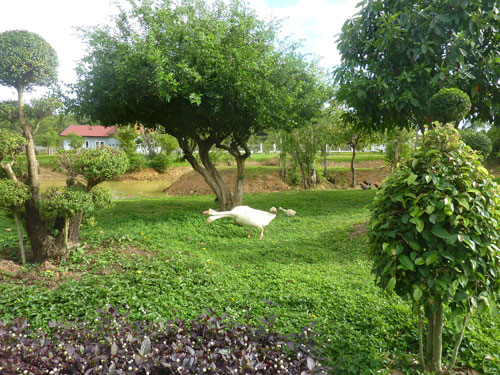 Công viên trong trang trại