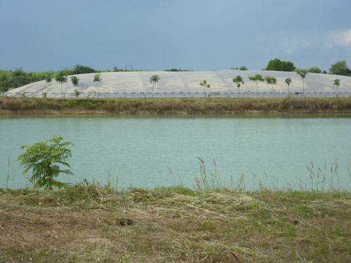 Chất thải được đưa vào hệ thống biogas