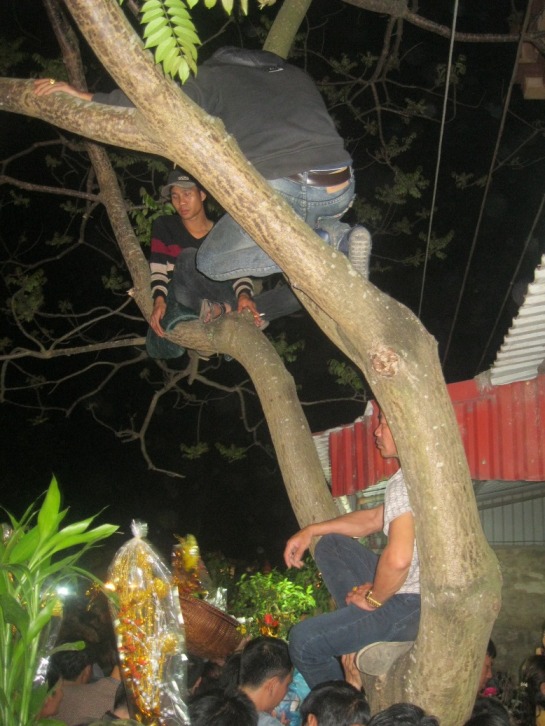 C&agrave;nh c&acirc;y cũng là nơi lý tưởng đ&ecirc;̉ dừng ch&acirc;n
